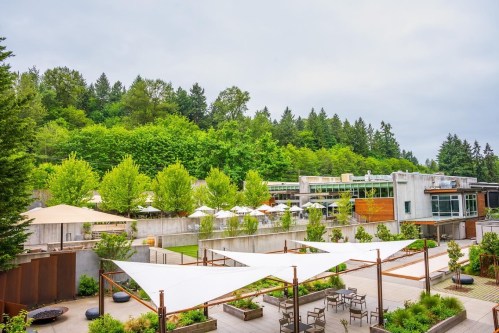 A modern outdoor space with white canopies, greenery, and a contemporary building in the background under a cloudy sky.