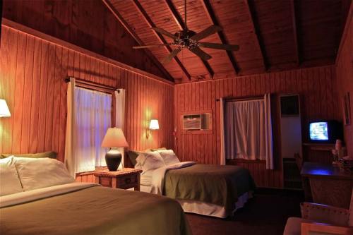 Cozy cabin interior with two beds, wooden walls, ceiling fan, and a small TV, creating a warm, inviting atmosphere.