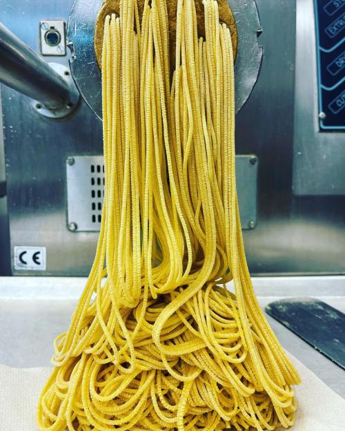 Freshly made pasta strands cascading from a pasta machine onto a countertop.