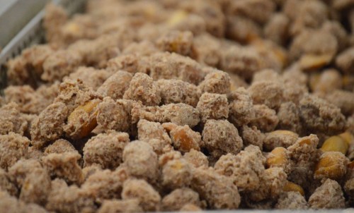Close-up of a pile of coated peanuts, showcasing a crunchy, textured surface.