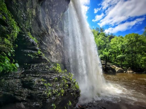 A cascading waterfall flows over rocky cliffs, surrounded by lush green trees and a bright blue sky.