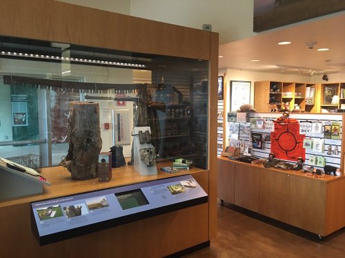 A museum display featuring wooden artifacts and informational panels in a bright, modern space.