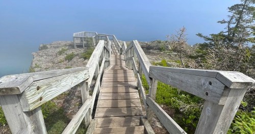 A wooden boardwalk leads to a foggy cliffside, surrounded by greenery and overlooking a calm body of water.