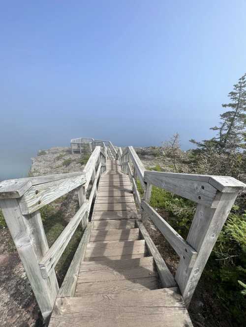 A wooden boardwalk leads to a foggy cliff edge, surrounded by greenery and trees.