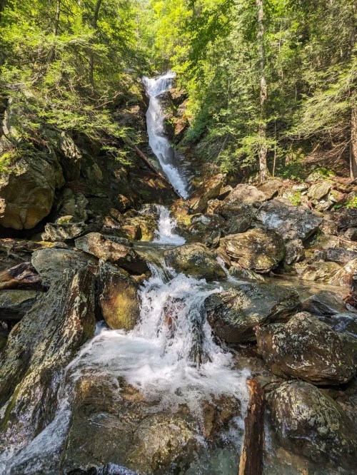 A serene waterfall cascading over rocks, surrounded by lush green trees in a tranquil forest setting.