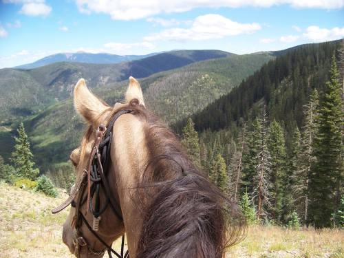 A horse's head with a saddle overlooks a lush green valley and distant mountains under a blue sky.