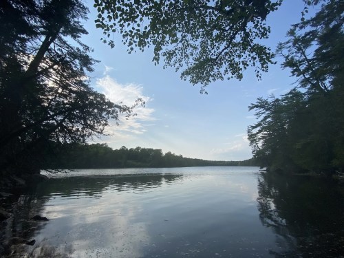 A serene lake surrounded by trees under a clear blue sky, reflecting the calm water.