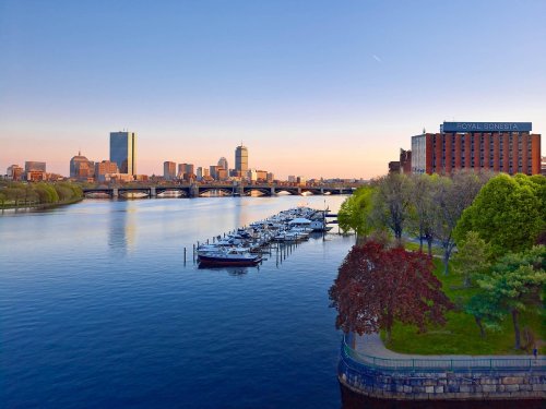 A serene view of the Charles River with boats docked, city skyline in the background, and lush greenery along the shore.