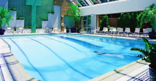 Indoor swimming pool surrounded by greenery and lounge chairs, with sunlight streaming through a glass ceiling.
