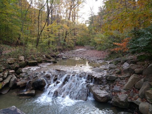 A serene stream flows over rocks in a forest, surrounded by autumn foliage and trees.