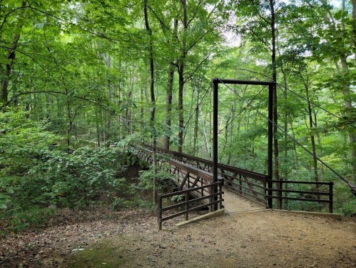 A wooden suspension bridge surrounded by lush green trees in a serene forest setting.