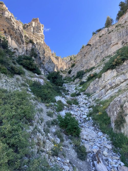 A rocky canyon with steep, rugged walls and greenery, under a clear blue sky.