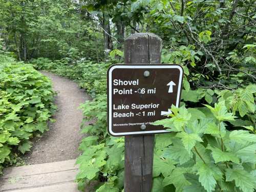 Trail sign indicating directions to Shovel Point (0.6 miles) and Lake Superior Beach (1 mile) amidst lush greenery.