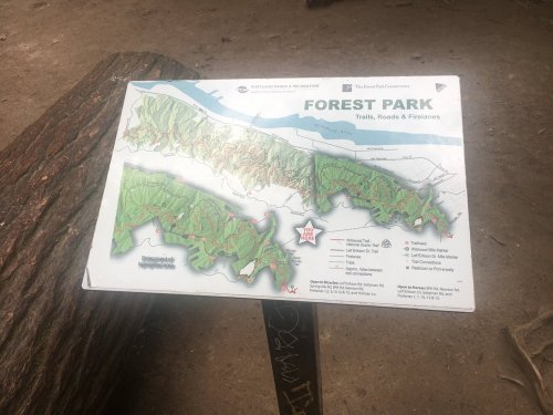 Map of Forest Park showing trails, roads, and features, with a river and surrounding landscape in the background.