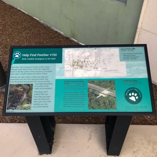 Information display about tracking Florida panther #150, featuring a map and details for wildlife biologists.