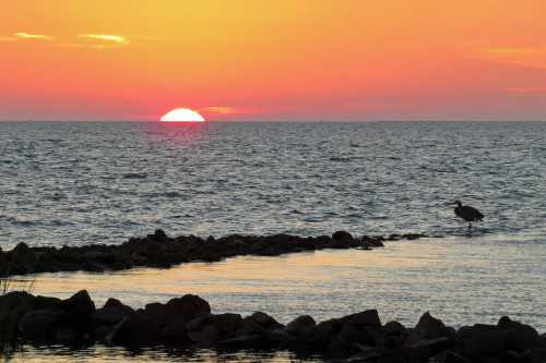 A serene sunset over the ocean, with vibrant orange and yellow hues and a solitary bird standing on rocky shore.