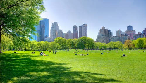 A sunny park with lush green grass and trees, surrounded by tall city buildings and people relaxing on the lawn.