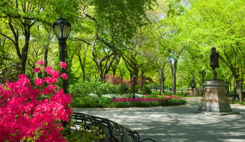 A vibrant park scene with blooming pink flowers, lush green trees, and a statue surrounded by benches.