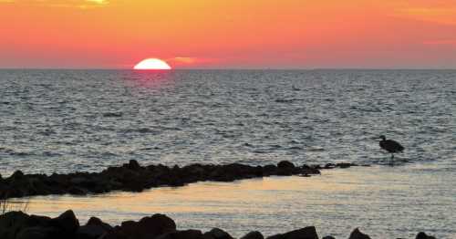 A serene sunset over the ocean, with a heron standing on rocks in the foreground.