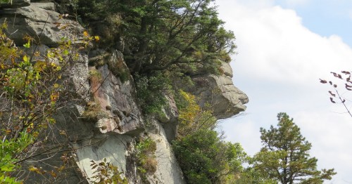 A rock formation resembling a human face, surrounded by trees and a blue sky with clouds.