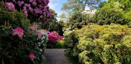 A lush garden path surrounded by vibrant pink and white flowers, leading through greenery under a blue sky.