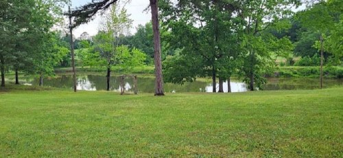 A serene landscape featuring a grassy area, trees, and a calm pond surrounded by lush greenery.