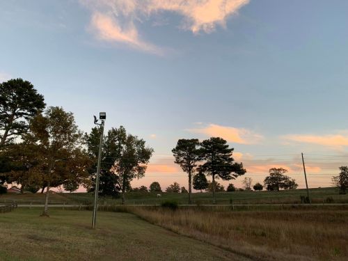 A serene landscape at dusk, featuring trees, a grassy field, and a colorful sky with soft clouds.