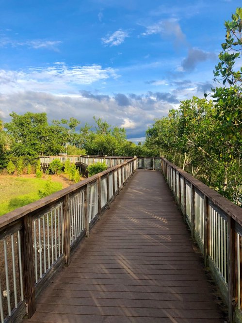 A wooden boardwalk stretches through lush greenery under a blue sky with scattered clouds.
