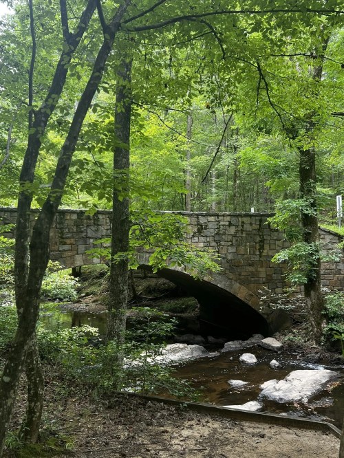 A stone bridge arches over a small stream, surrounded by lush green trees in a serene forest setting.