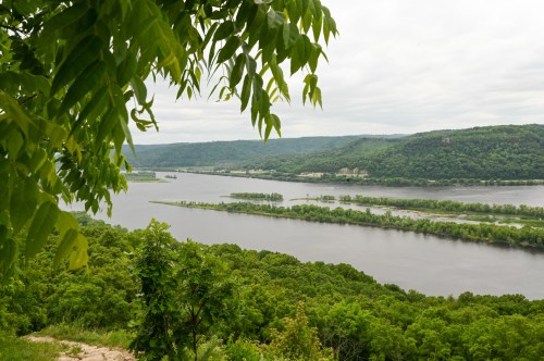 A scenic view of a river winding through lush green hills under a cloudy sky, framed by tree leaves.