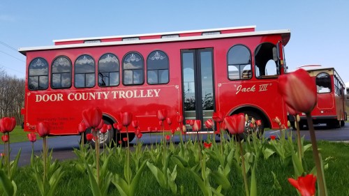A red trolley with "Door County Trolley" written on it, parked near vibrant tulips in a green field.