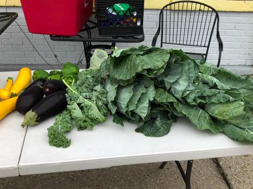 A table displaying fresh vegetables, including collard greens, kale, zucchini, eggplant, and bell peppers.
