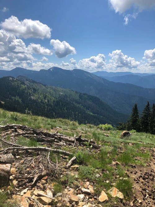 A scenic view of mountains under a blue sky with fluffy clouds, featuring green hills and scattered logs in the foreground.