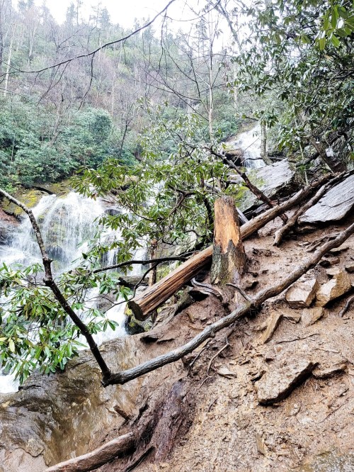 A serene waterfall cascades down rocky terrain, surrounded by lush greenery and fallen tree branches.