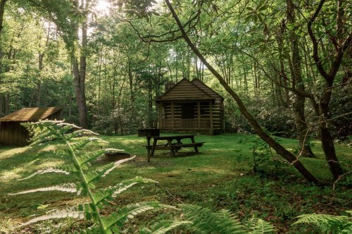 A serene forest scene featuring a wooden cabin, picnic table, and lush greenery under soft sunlight.