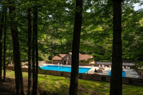A serene outdoor pool surrounded by trees, with lounge chairs and a building in the background.