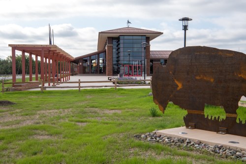 A modern building with a wooden pergola and a large buffalo sculpture in a grassy area.