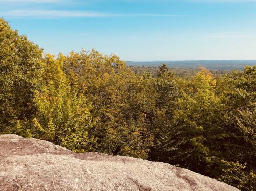 A scenic view from a rocky outcrop, showcasing lush green and yellow trees under a clear blue sky.