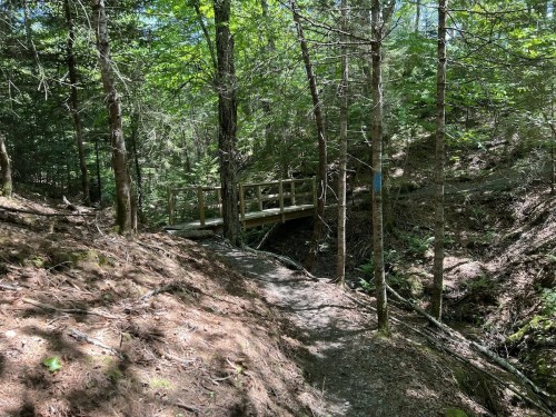 A wooden bridge spans a small ravine, surrounded by lush green trees and a dirt path in a forested area.