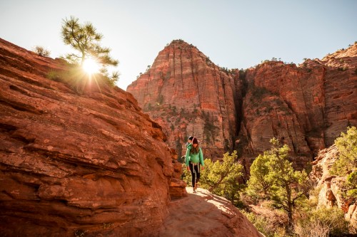 A hiker walks along a rocky trail in a canyon, with sun shining behind towering red cliffs and pine trees.