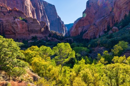 A vibrant canyon landscape with towering red rock formations and lush green trees under a clear blue sky.