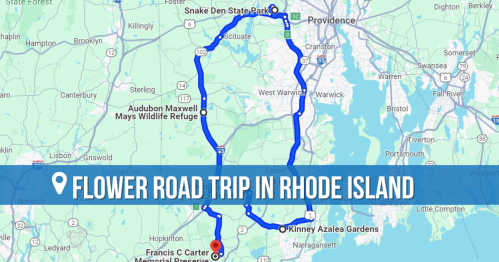 Map showing a flower-themed road trip route in Rhode Island, highlighting key locations like Snake Den State Park and Kinney Azalea Gardens.