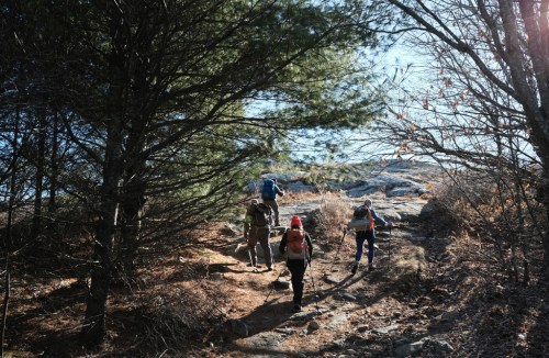 A group of hikers ascends a rocky trail surrounded by trees on a sunny day.