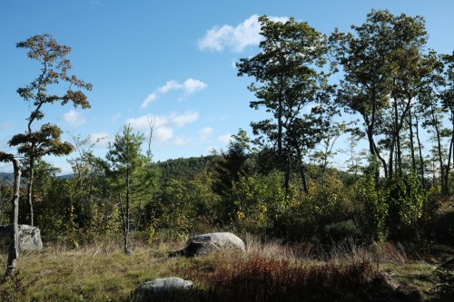A scenic view of trees and boulders under a clear blue sky with scattered clouds.