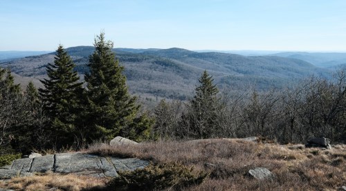 A panoramic view of rolling hills and sparse trees under a clear blue sky, with rocky terrain in the foreground.