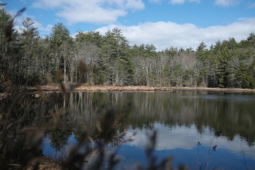A serene lake surrounded by trees, reflecting the sky and clouds on a clear day.