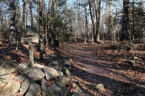 A wooded trail with a signpost indicating the Midstate Trail, surrounded by rocks and fallen leaves.