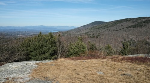 A scenic view of rolling hills and mountains under a clear blue sky, with sparse trees and grass in the foreground.