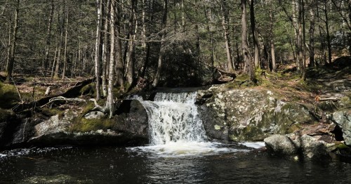 A serene waterfall cascades over rocks into a calm pool, surrounded by lush green trees in a tranquil forest setting.