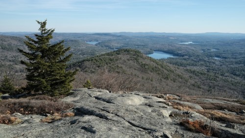 A panoramic view of mountains and lakes from a rocky summit, with a lone tree in the foreground.